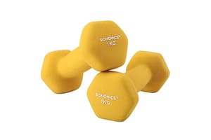 Songmics Set Of 2 Dumbbells