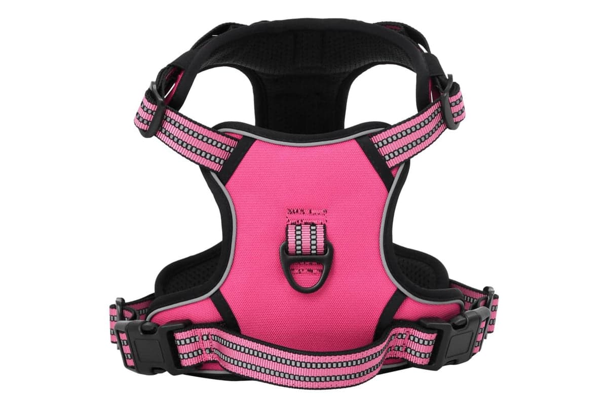 Dog Harness With Lead Collar Adjustable Pink L