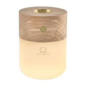 Smart Diffuser Lamp White Ash