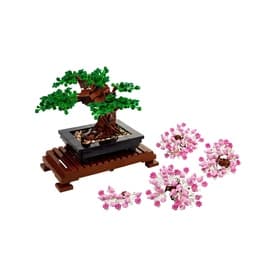 Bonsai Tree