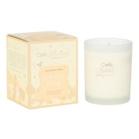 Spiced Mimosa and Orange Scented Candle 240g
