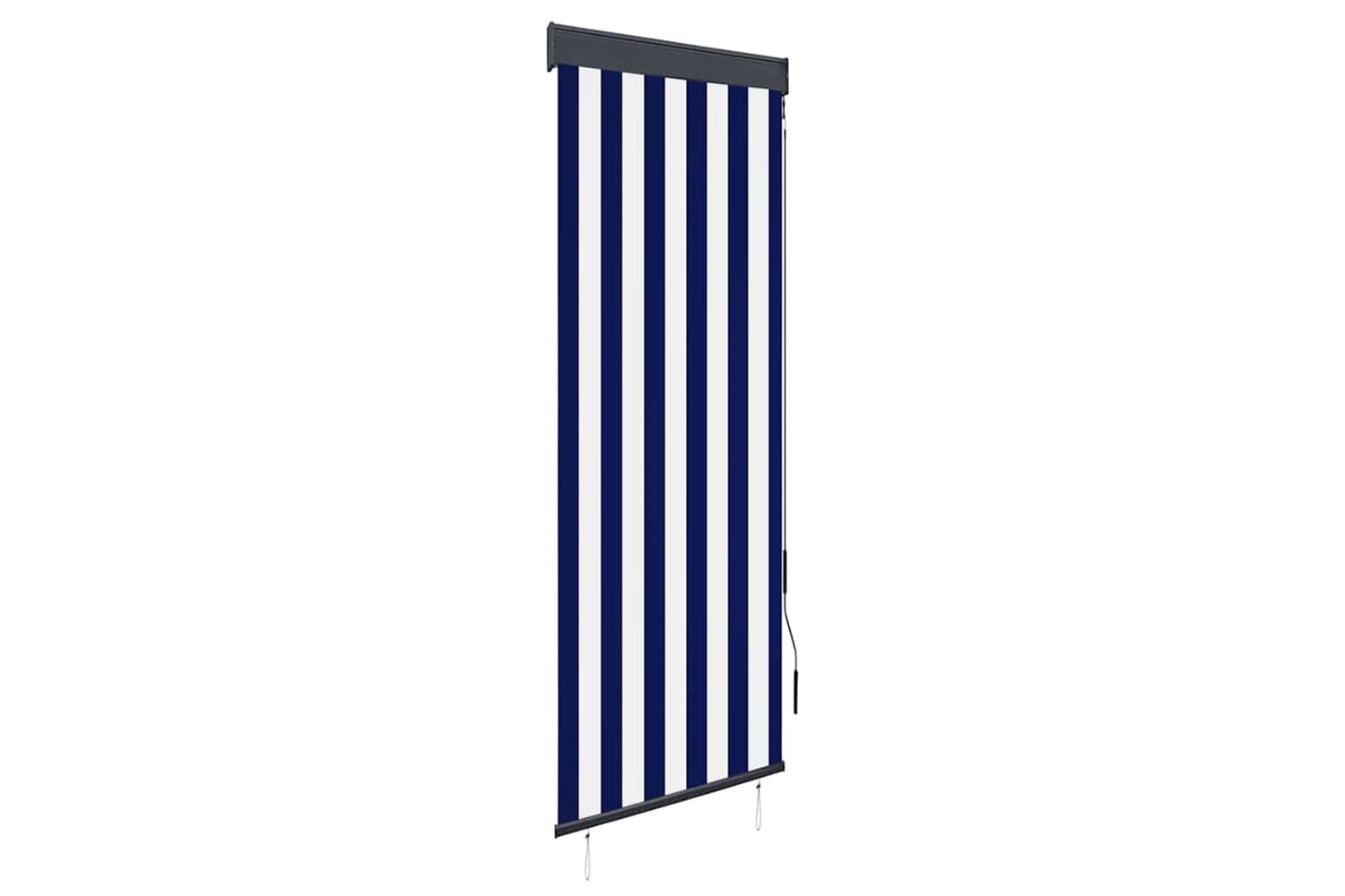 vidaXL 145943 Outdoor Roller Blind 60x250cm Blue And White