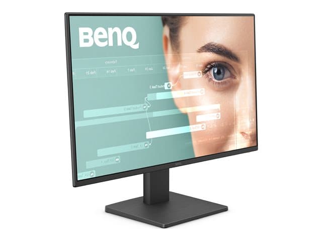 BenQ GW2491