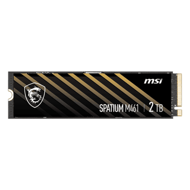 MSI SPATIUM 2TB PCIe 4.0 NVMe M.2 2280 Internal SSD