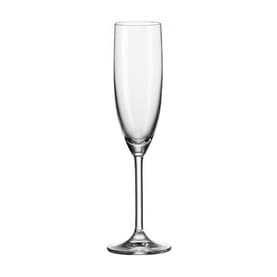 Daily Champagne 6 Piece Clear
