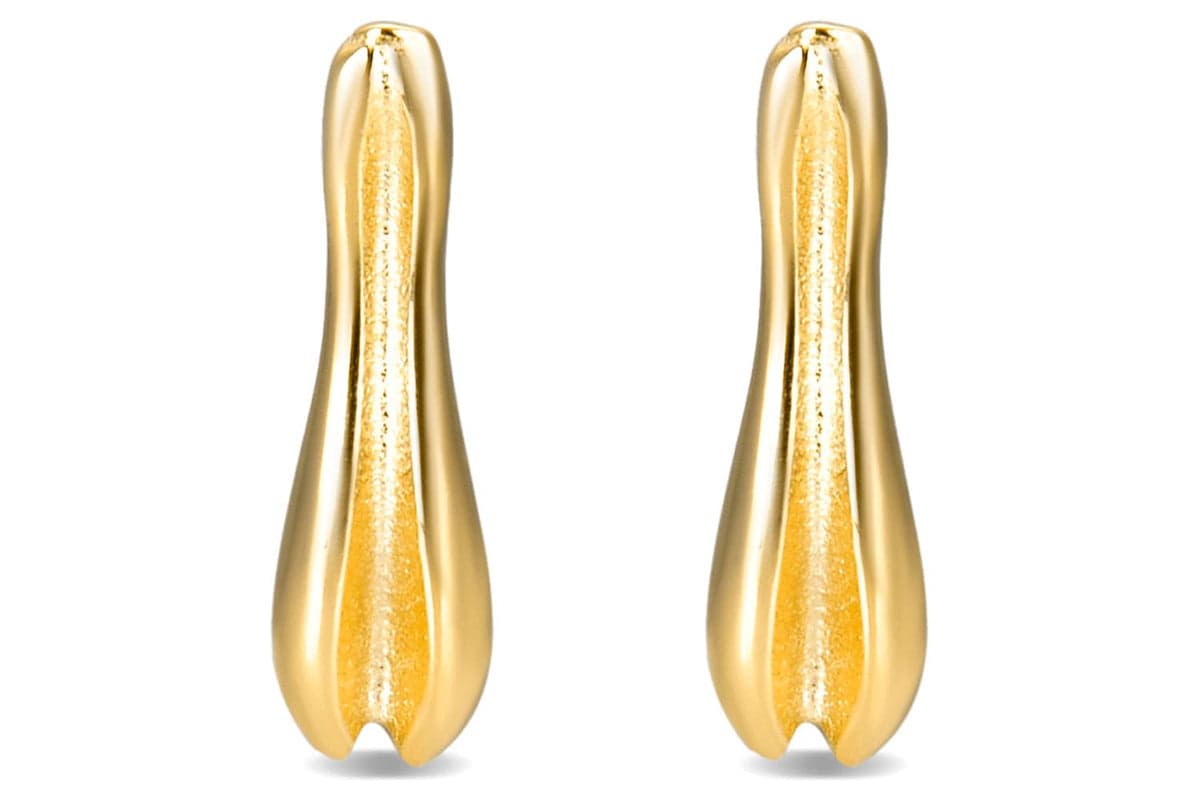 Luxenter Sterling Silver Earrings