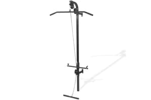 Vidaxl 91369 Wall-mounted Home Gym With 2 Pulleys