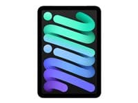 APPLE - iPad mini A17 Pro Wi-Fi + Cellular - tablet - 256 GB - 8.3" - 3G, 4G, 5G
