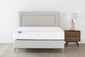 Briody Ora Base with Natural Leg