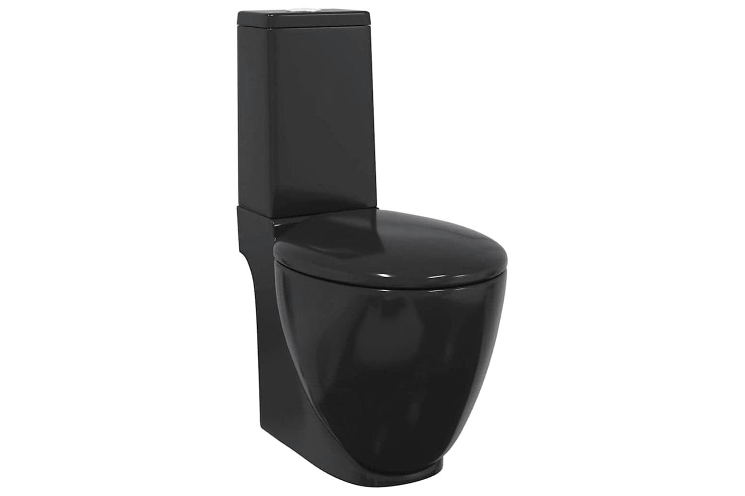 vidaXL 3059889 Bottom Water Flow WC Ceramic Round Toilet | Black