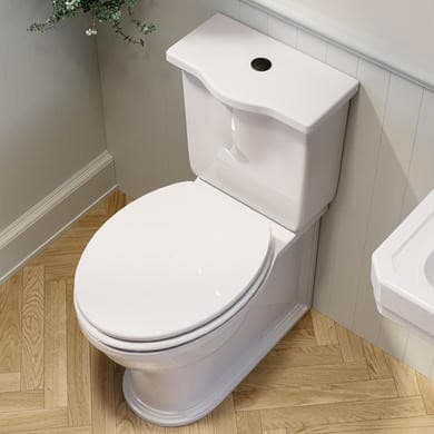 Ripley Close Coupled Rimless Toilet