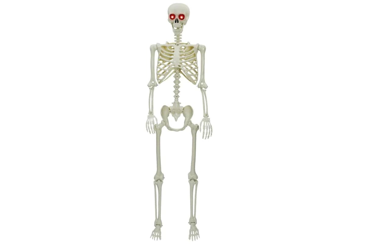 Vidaxl Halloween Skeleton White Plastic
