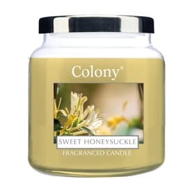 Colony Sweet Honeysuckle Medium Candle