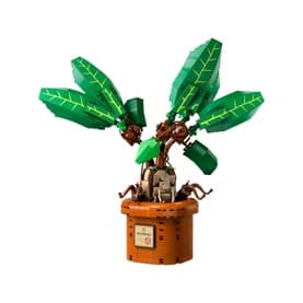 Harry Potter Mandrake