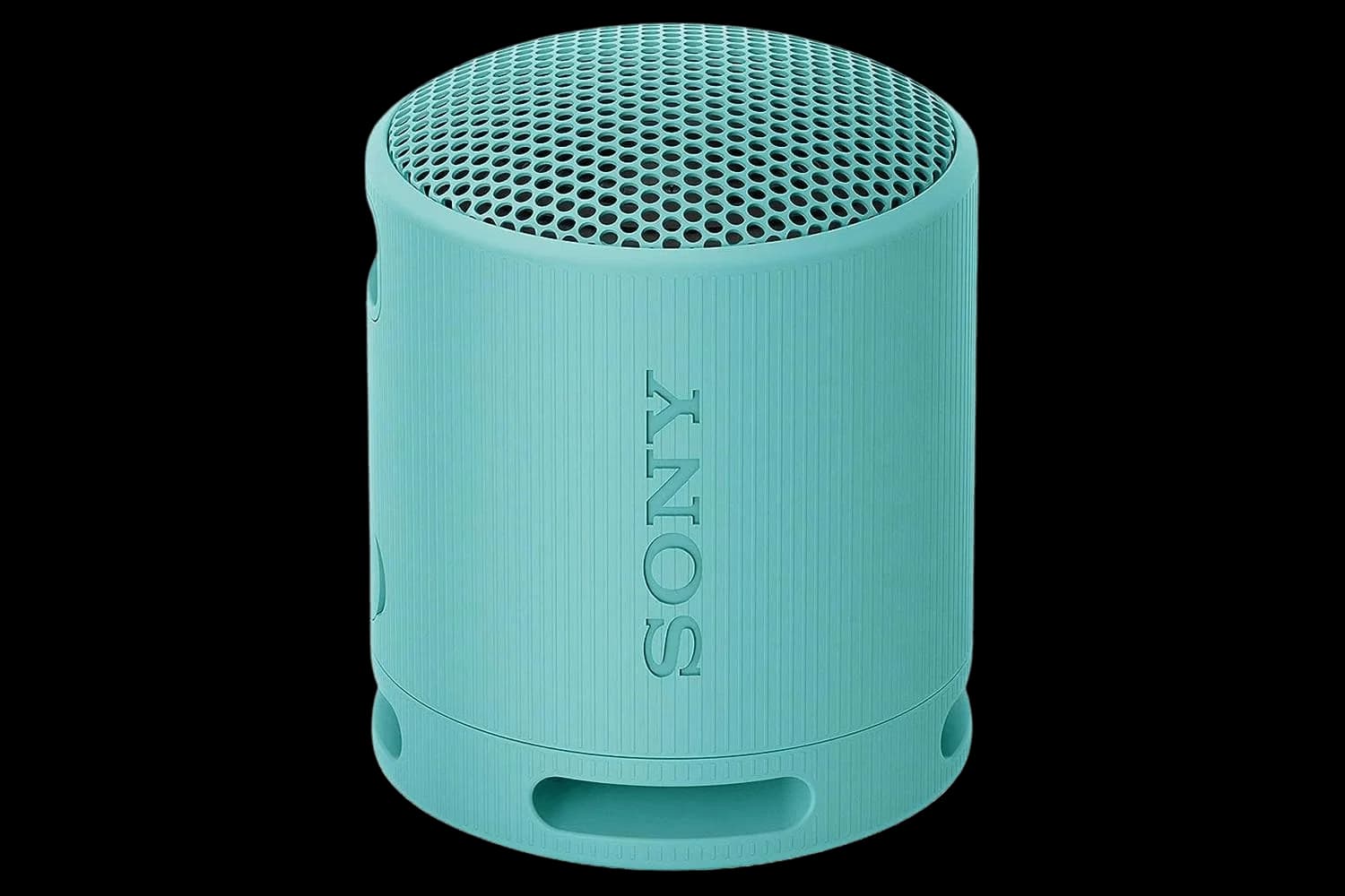 Sony SRS-XB100 Wireless Portable Speaker | Blue