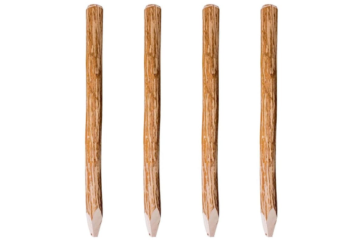 vidaXL 43145 Pointed Fence Posts 4 Pcs Hazel Wood 120cm