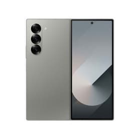 Fold 6 Silver Shadow 12GB 256GB