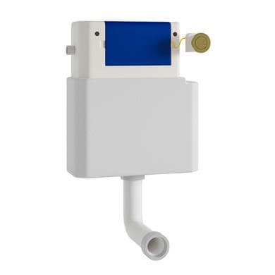ONLY OPENED - Arissa Brushed Brass Manual Push Button and Cistern