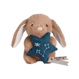 Astro Pisces Bunny 14cm