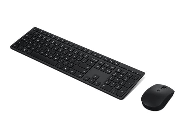 LENOVO - Professional - keyboard and mouse set - AZERTY - French - grey Input Device