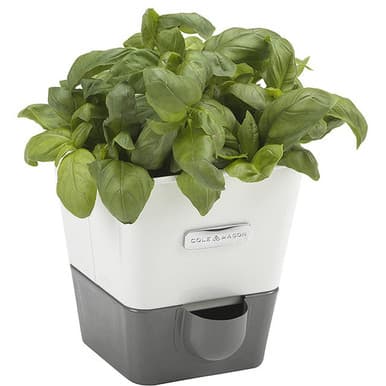 Cole & Mason H105249 Burwell Self-Watering Single Potted Herb Keeper Pot