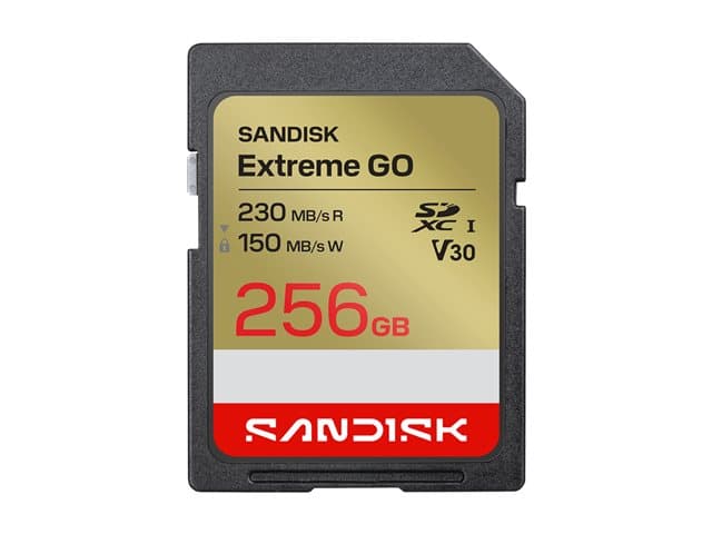 SANDISK - Extreme Go - Flash memory card - 256 GB - Video Class V30 / UHS-I U3 - SDXC UHS-I