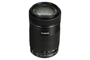 Canon EF-S 55-250mm f/4-5.6 IS STM Lens