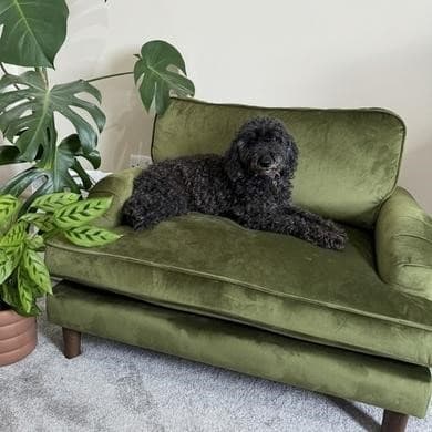Dog Sofa Bed in Olive Green Velvet - Payton