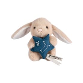 Astro Gemini Bunny  14cm