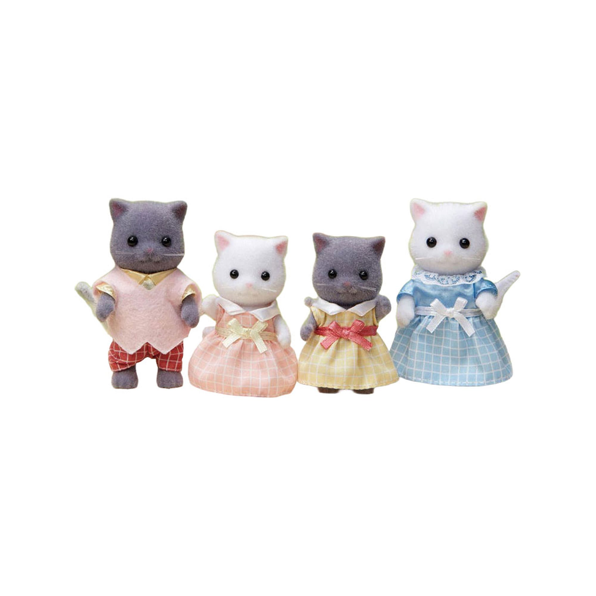 Persian Cat Family