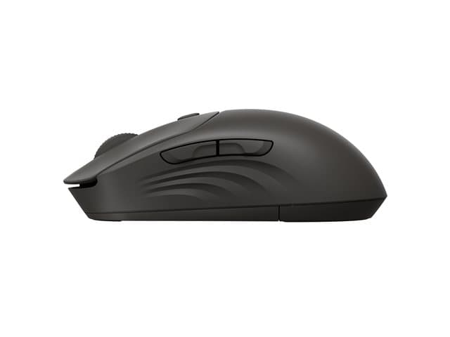 HP mouse