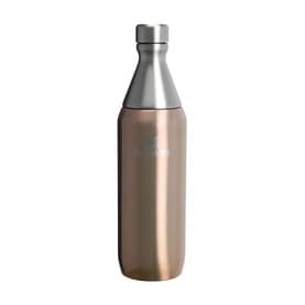 The Pale Gold Shine All Day Slim Bottle 0.59L