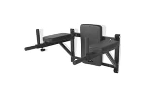 Vidaxl 91368 Wall-mounted Fitness Dip Station Black