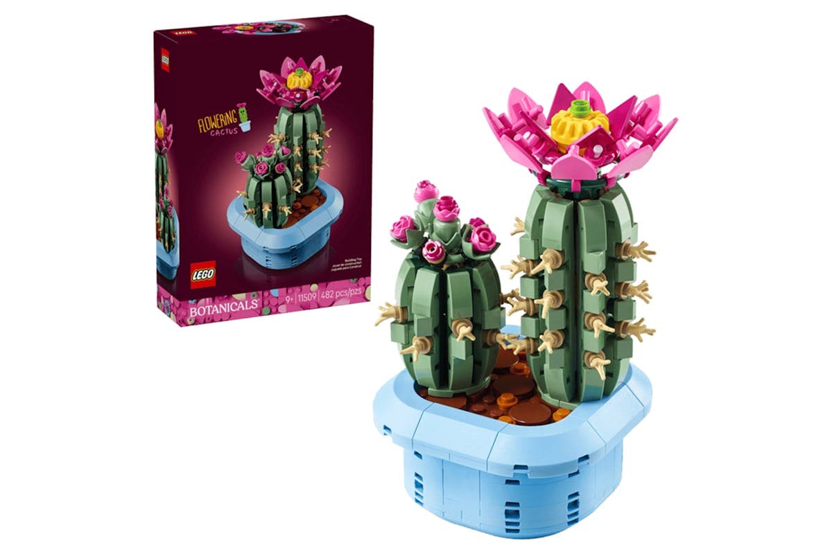 Lego Flowering Cactus Building Toys