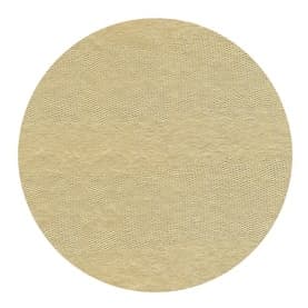 Lizard Round Placemat
