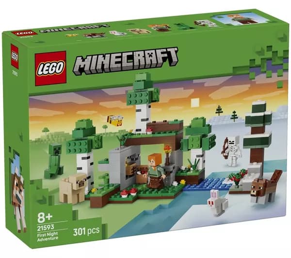LEGO Minecraft 21593 First Night Adventure Set