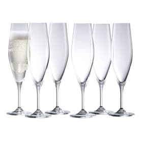 Cheers Party Pack Champagne Prosecco Flutes 210ml, Set of Six