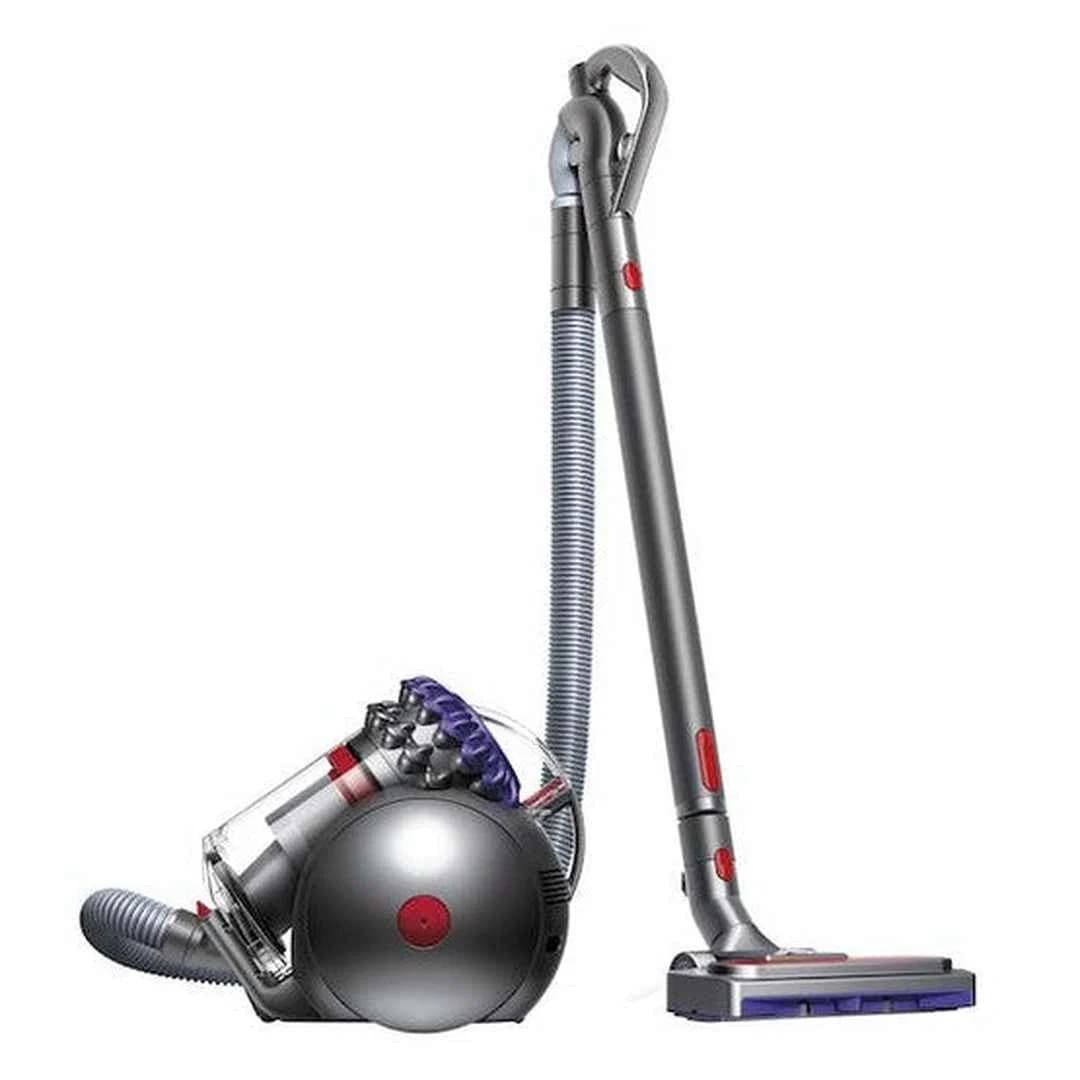 Dyson Big Ball Animal 2