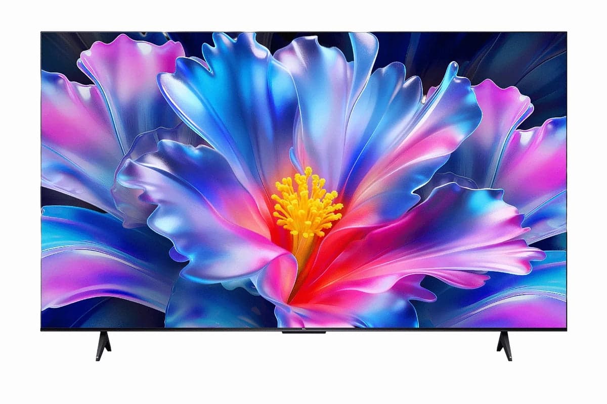 TCL P6L 55" 4K HDR Smart TV (2026) | 55P6L