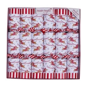 Racing Sausage Dog Singular Christmas Cracker