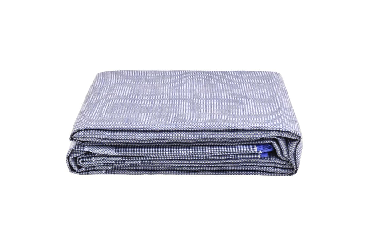 vidaXL 315147 Tent Carpet 250x200cm Blue