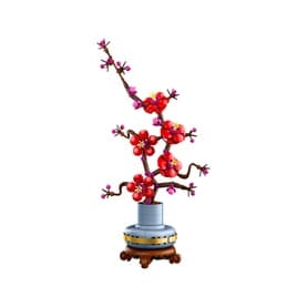 Botanical Collection Plum Blossom