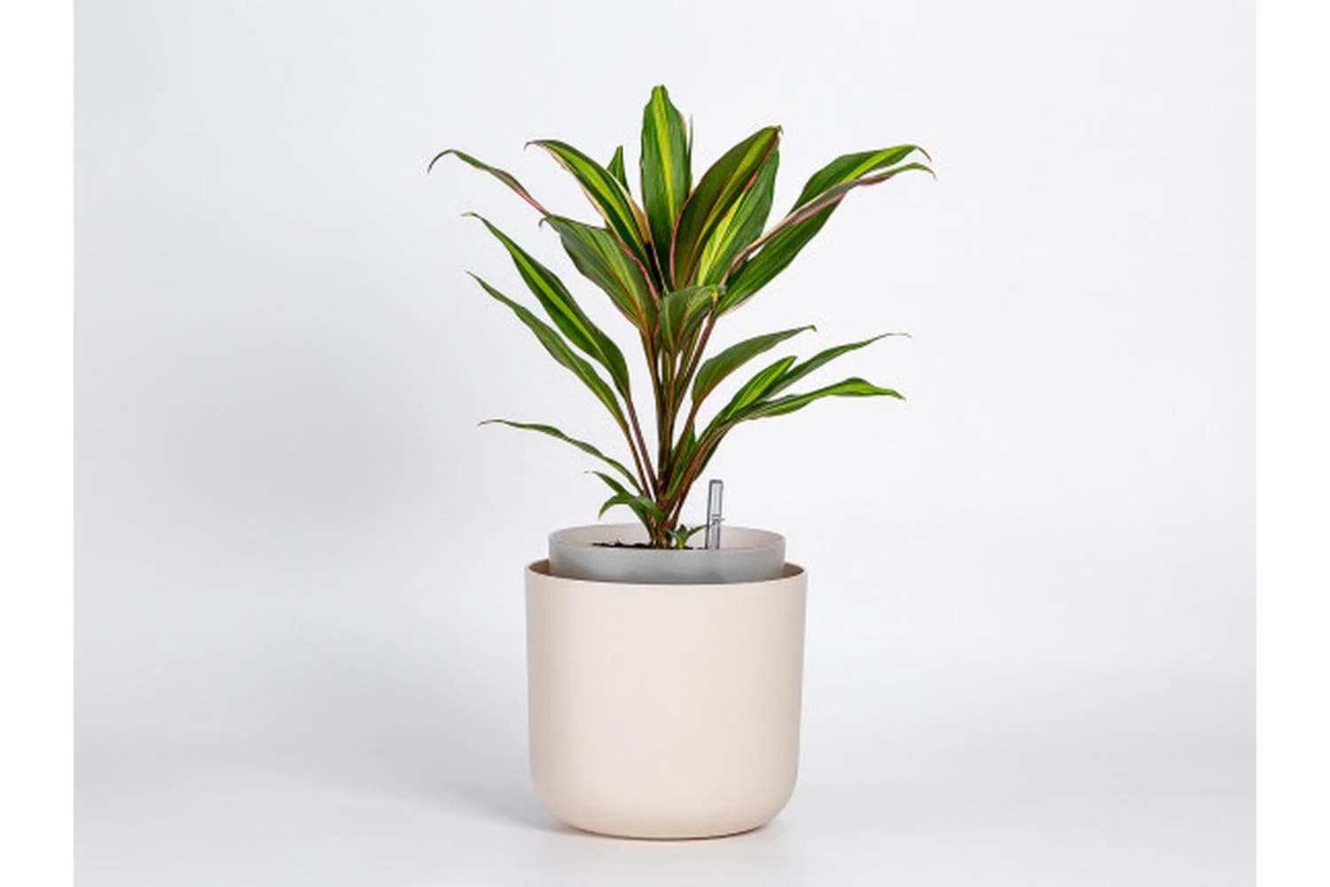 Plastia Tolita Flower Pot | Beige | 19cm