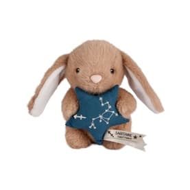 Astro Sagittarius Bunny  14cm