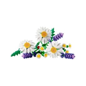 Botanicals Daisies Flower Décor Set