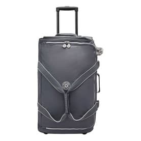 Teagan M Medium Wheeled Luggage