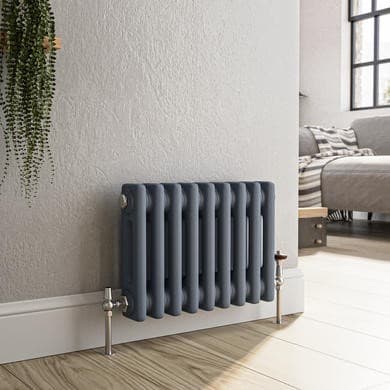 Reggio Horizontal Double Column Traditional Radiator