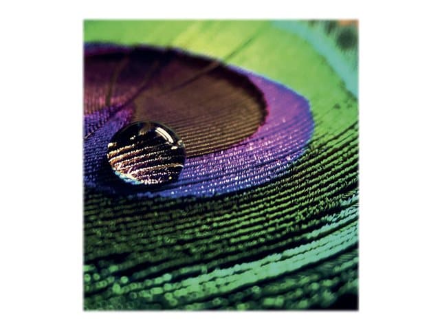 EPSON - Production - photo paper - semi-glossy - 1 roll(s) - Roll (91.4 cm x 30 m) - 200 g/m²