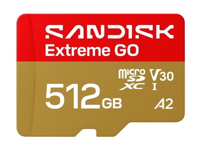 SANDISK - Extreme Go - Flash memory card - 512 GB - A1 / Video Class V30 / UHS-I U3 - microSDXC UHS-I