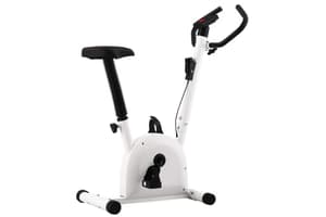 Vidaxl Exercise Bike With Belt Resistance